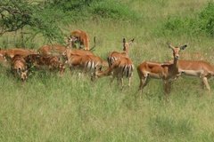 tanzania4030