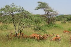 tanzania4033