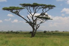 tanzania4045