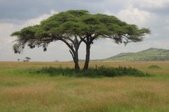 tanzania4046