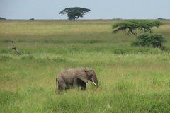 tanzania4047
