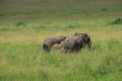 tanzania4048
