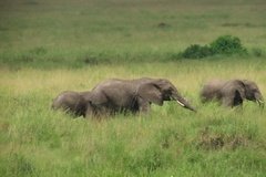 tanzania4049