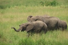 tanzania4055