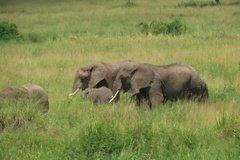 tanzania4056