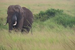 tanzania4058