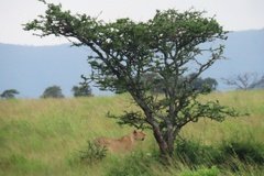 tanzania4069