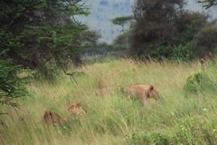 tanzania4070