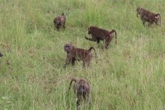 tanzania4075