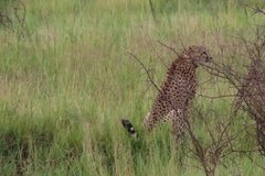 tanzania4078