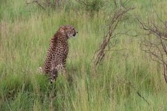 tanzania4081