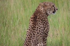 tanzania4083