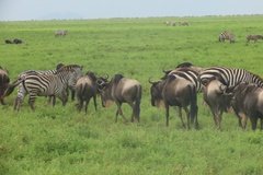tanzania4091