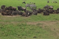 tanzania4097
