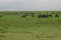 tanzania4098