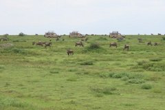 tanzania4110