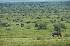tanzania4111