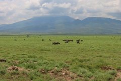 tanzania4112