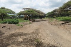 tanzania5001