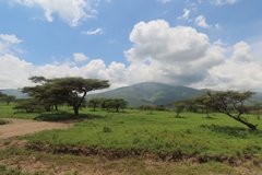 tanzania5006