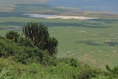 tanzania5015