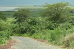 tanzania5018