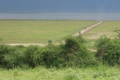 tanzania5020