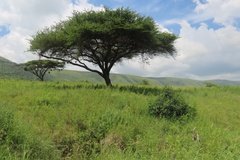 tanzania5021