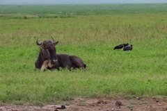 tanzania5024