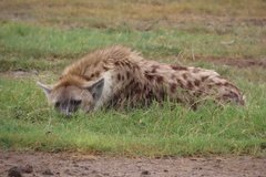 tanzania5038