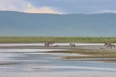 tanzania5039