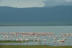 tanzania5041