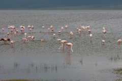 tanzania5044
