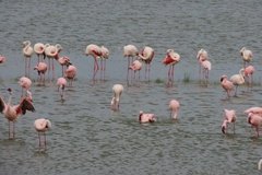 tanzania5046
