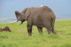 tanzania5061