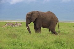 tanzania5062