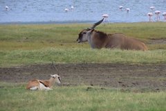 tanzania5064