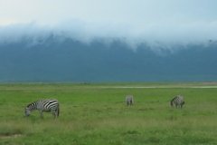 tanzania5068
