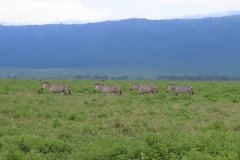 tanzania5070