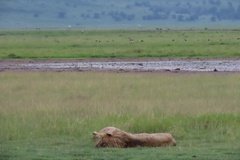 tanzania5078