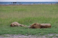 tanzania5079