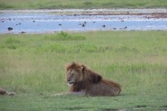 tanzania5084