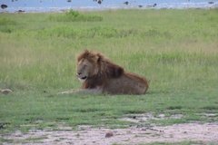 tanzania5085