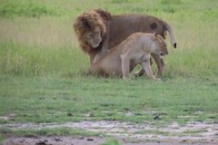 tanzania5091