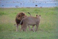tanzania5093