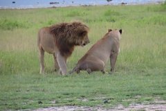 tanzania5094