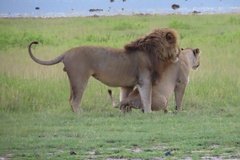 tanzania5095