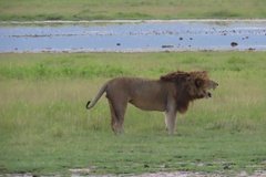 tanzania5097