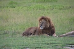 tanzania5099