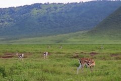 tanzania5117